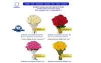 101roza.com.ua