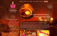 avivcenter.com
