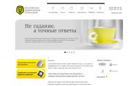 baltaudit.com