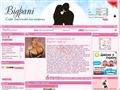 bigpani.com.ua