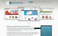 biysk-site.ru