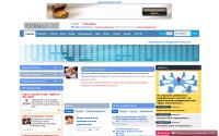 bizconcept.net