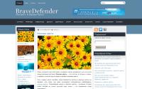 bravedefender.ru