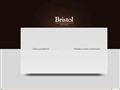 bristolkrasnodar.ru