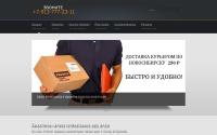 carelectronics24.ru