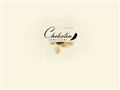chekotin.ru