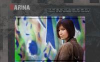 darina.ws
