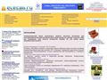 elecab.ru
