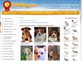 elitedogs.ru