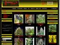 errors-seeds.com.ua