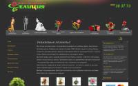 feliciya.kirov.ru