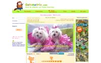 gatomatrix.com
