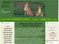 gepardoff.net