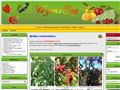 idealsad.com.ua