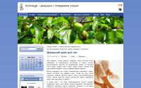kotilda.ru