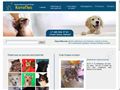 kotopes-bf.ru
