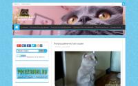 kotsf.ru