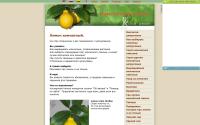 limon-room.narod.ru