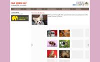 ma-dgi-zu.com