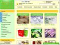 mpostel.ru
