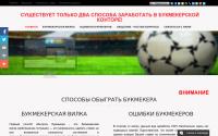 my-web-work.ru