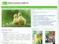 nsh.ru