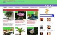 otsvetax.ru