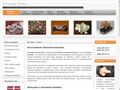plazma-plus.com
