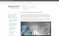 seo-audit.info