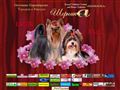 shernika.ru