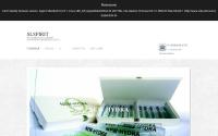 slspirit.ru