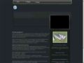 smusever7.ru
