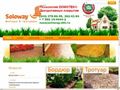 soloway-ekb.ru