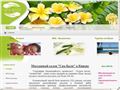 spa-bali.ru