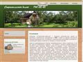 stroy-gray.ru