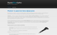 virag-avtoservice.by