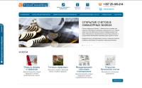 vizusconsult.com