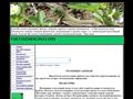 vsevozmogno.com