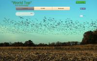 wt-eco.com