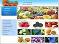 yagodnik.com.ua