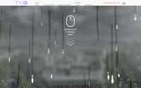 yourtwig.ru