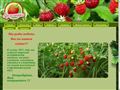 zemlyanika.com.ua